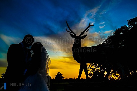 Hayley & Christopher at Gosfield Hall